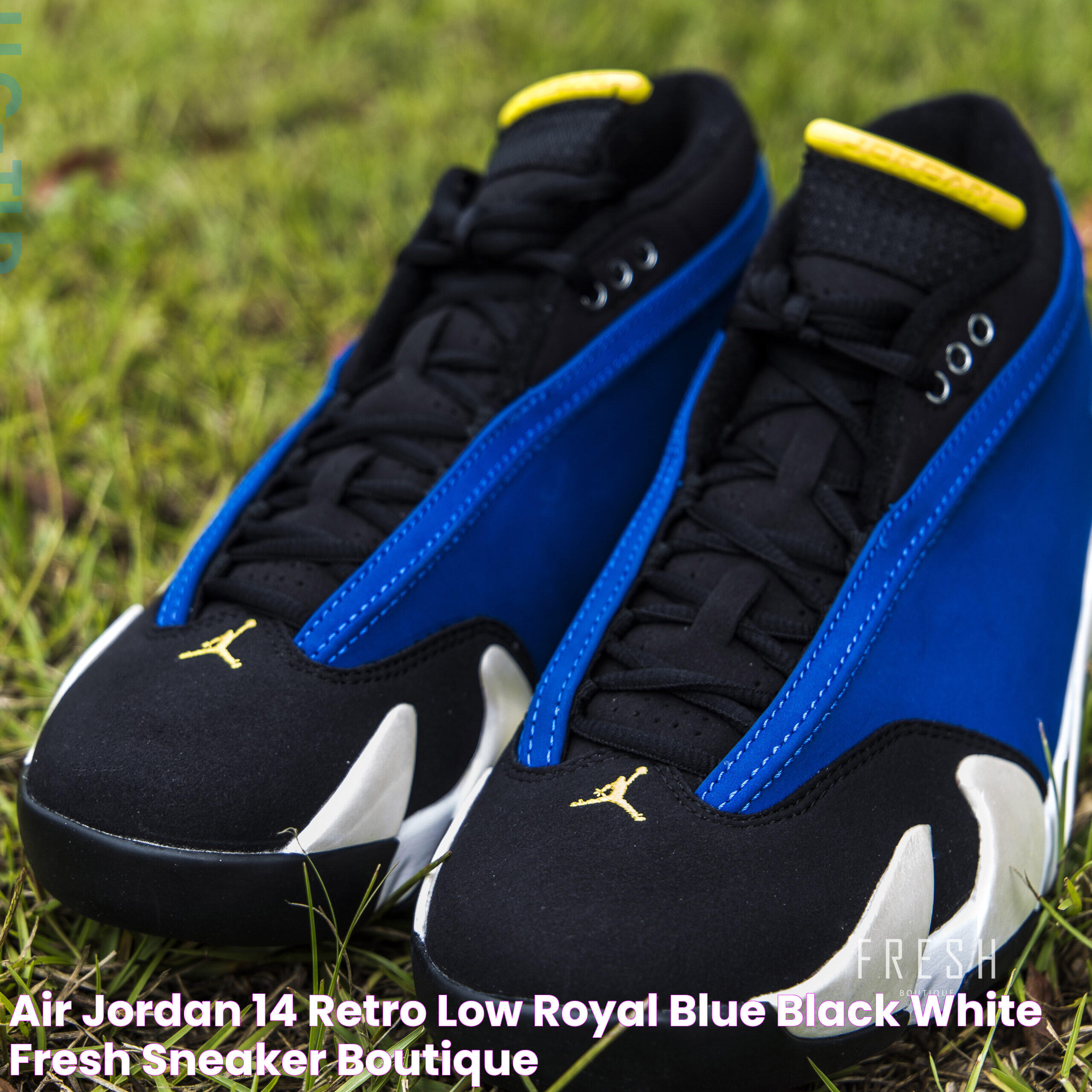 Air Jordan 14 Retro Low Royal Blue/ Black/ White Fresh Sneaker Boutique