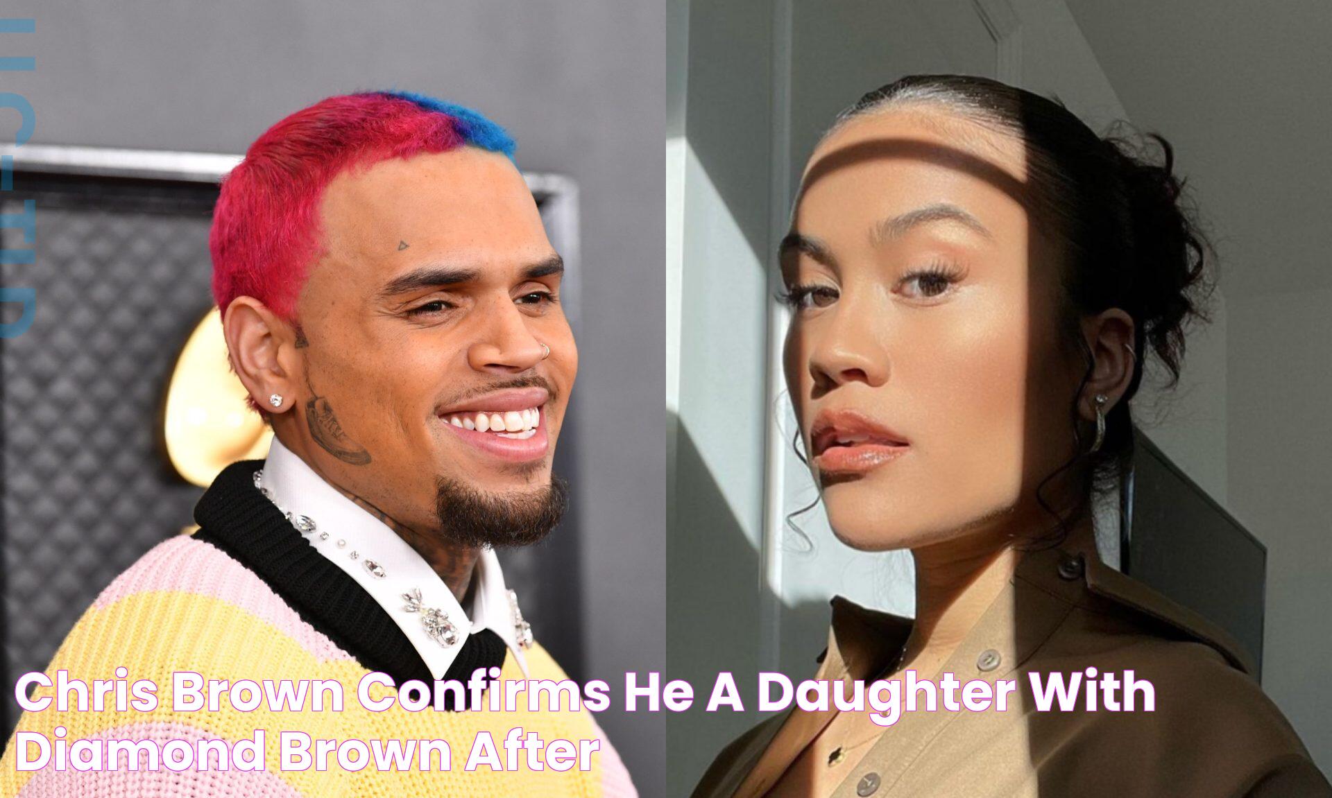 Chris Brown Confirms He A Daughter With Diamond Brown After