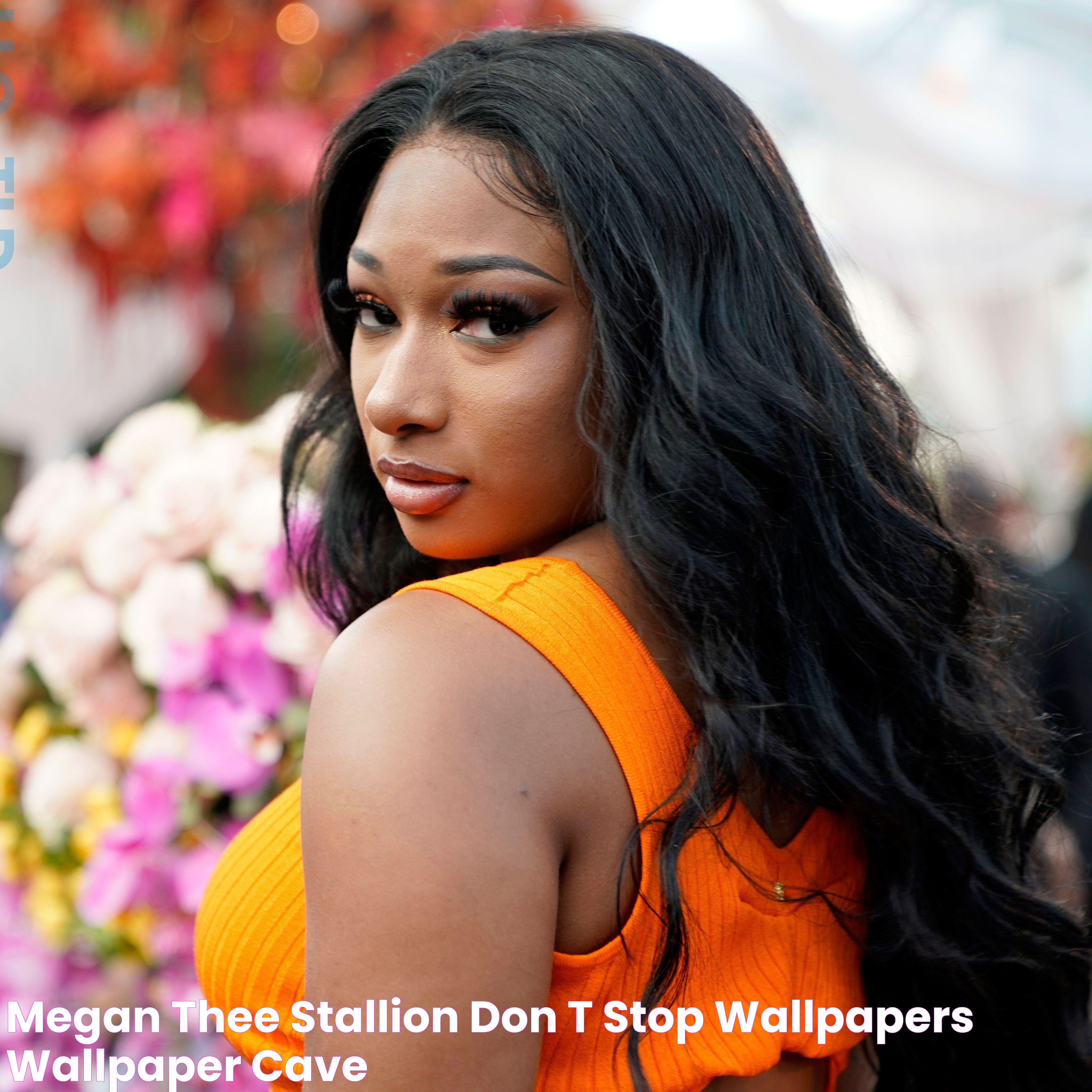 Megan Thee Stallion Don't Stop Wallpapers Wallpaper Cave