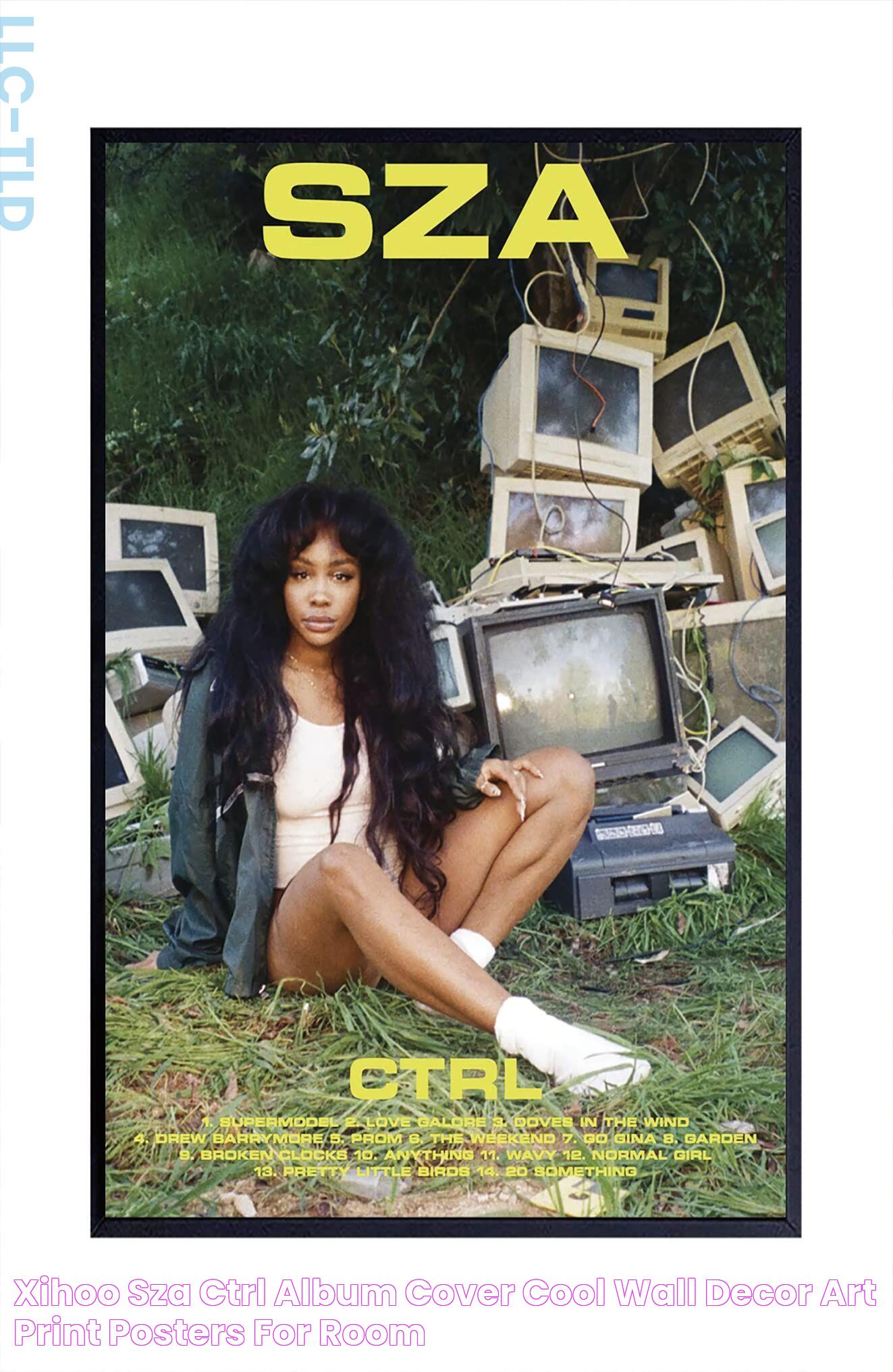 XIHOO sza ctrl album cover Cool Wall Decor Art Print posters for room