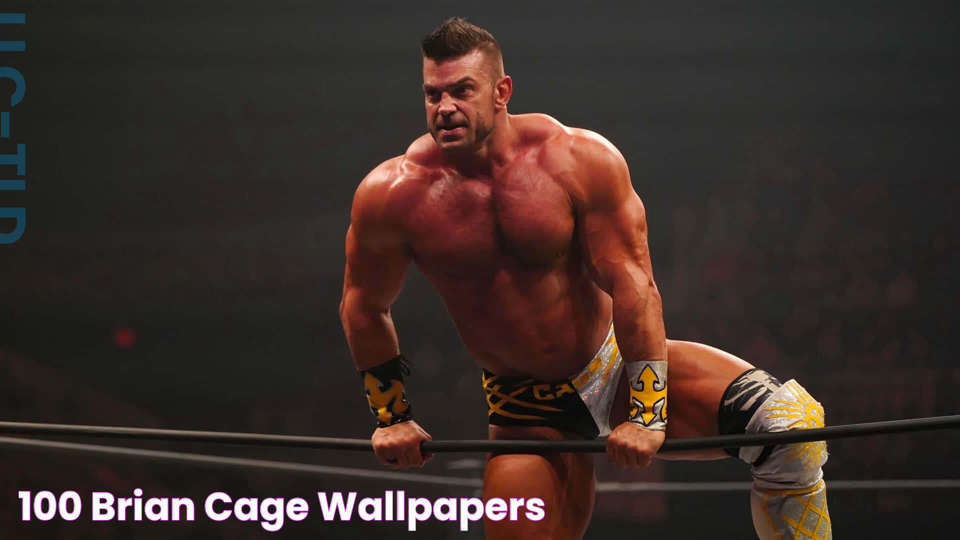 [100+] Brian Cage Wallpapers