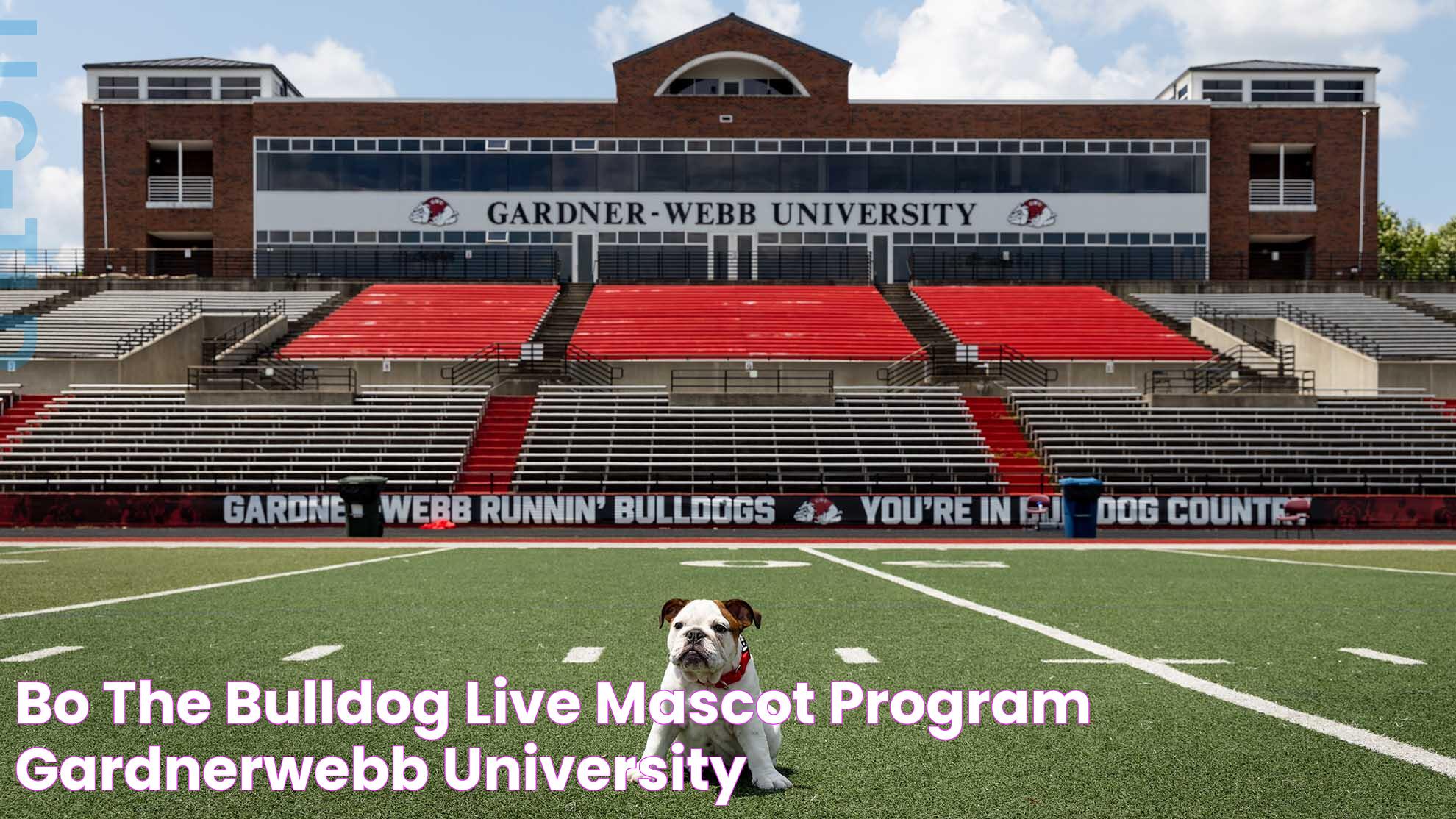 Bo the Bulldog Live Mascot Program GardnerWebb University