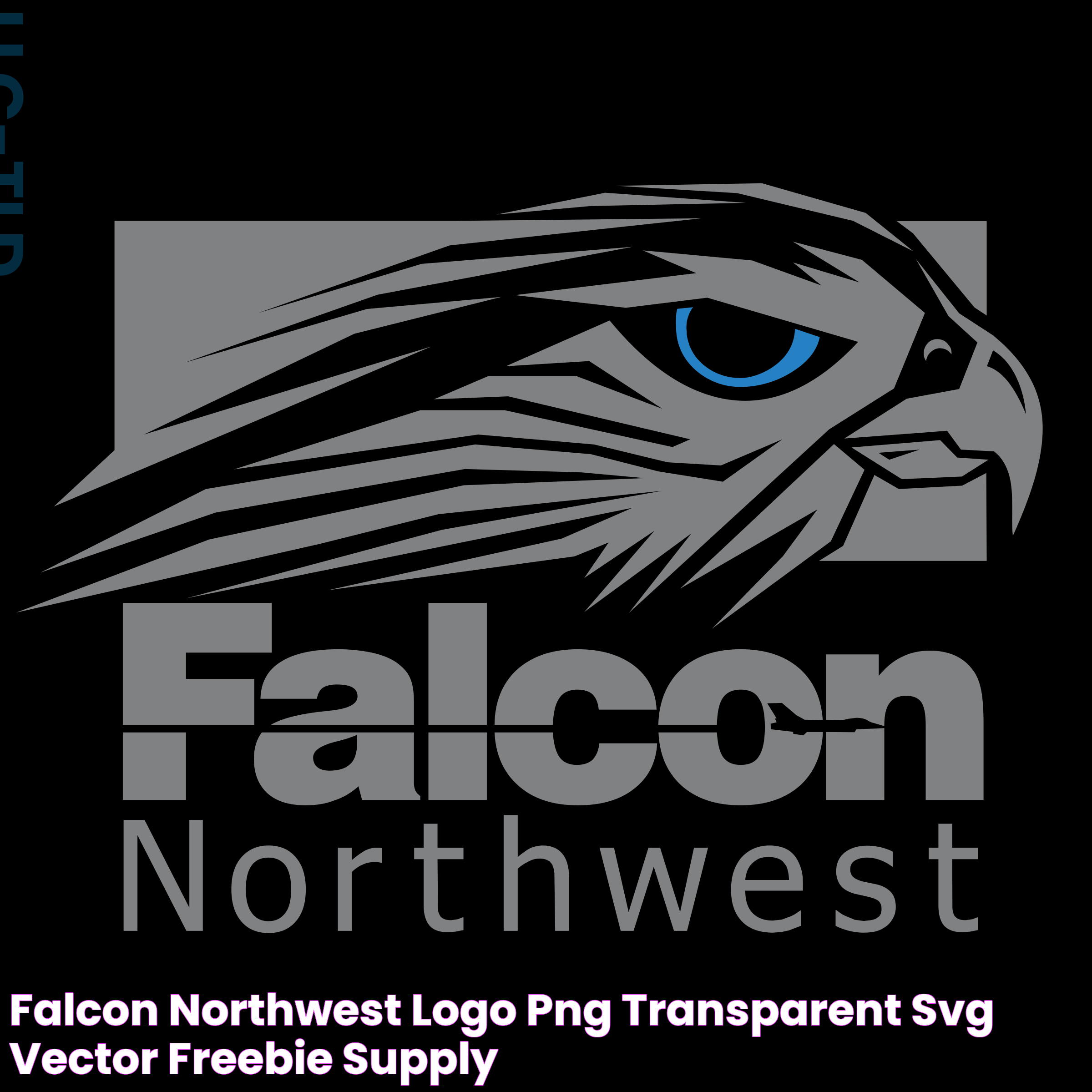 Falcon Northwest: A Deep Dive Into High-Performance Gaming PCs