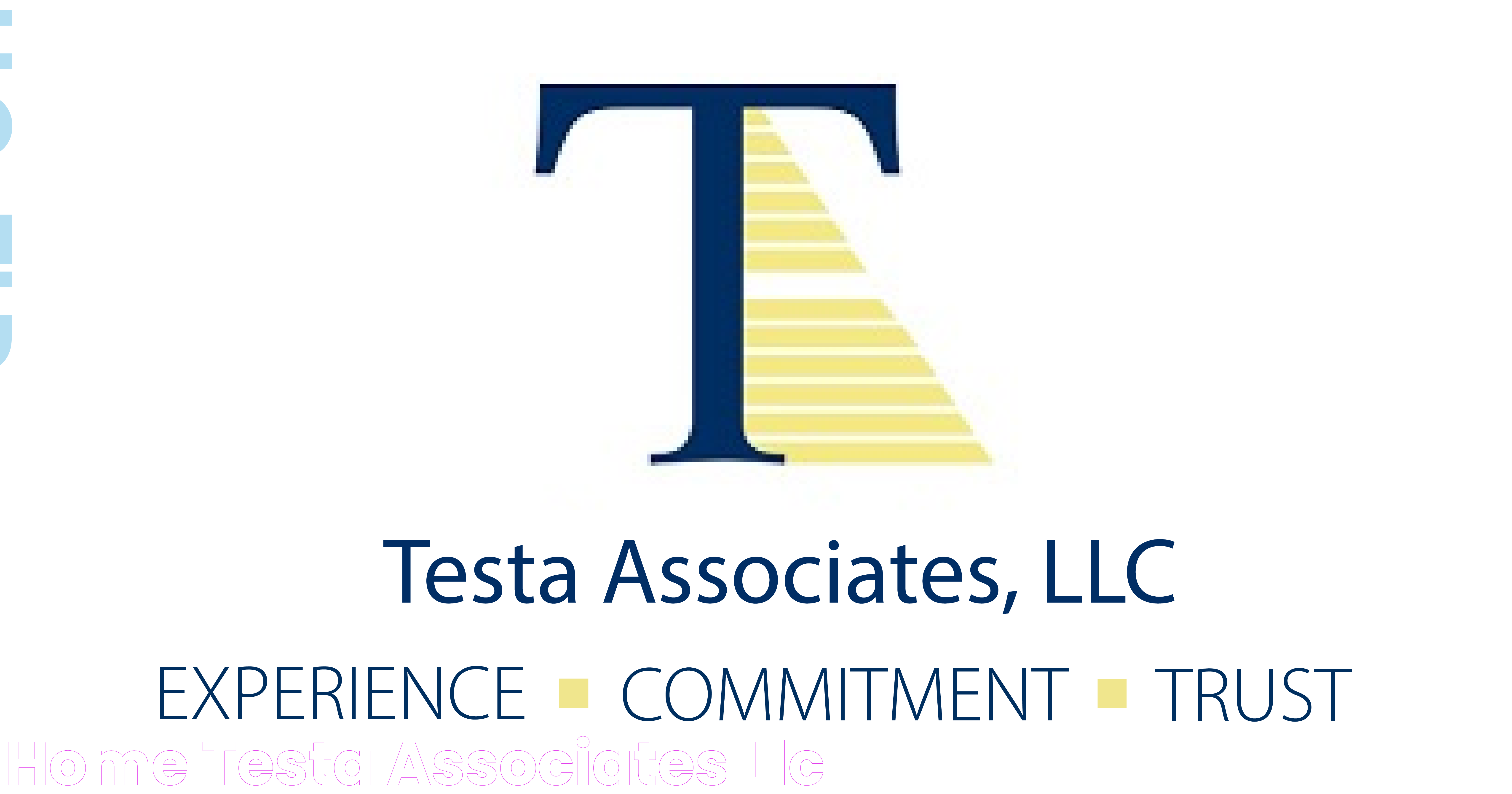 TA Associates: Empowering Business Growth Through Strategic Investment