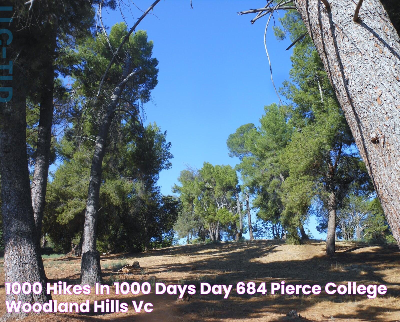 Your Path To Success: Pierce College Opportunities