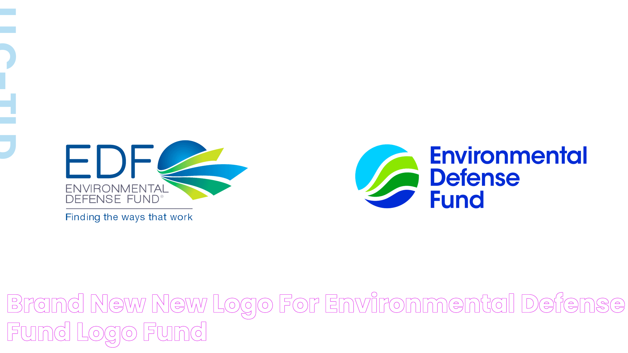 Empowering Change With The Environmental Defense Fund: A Guide