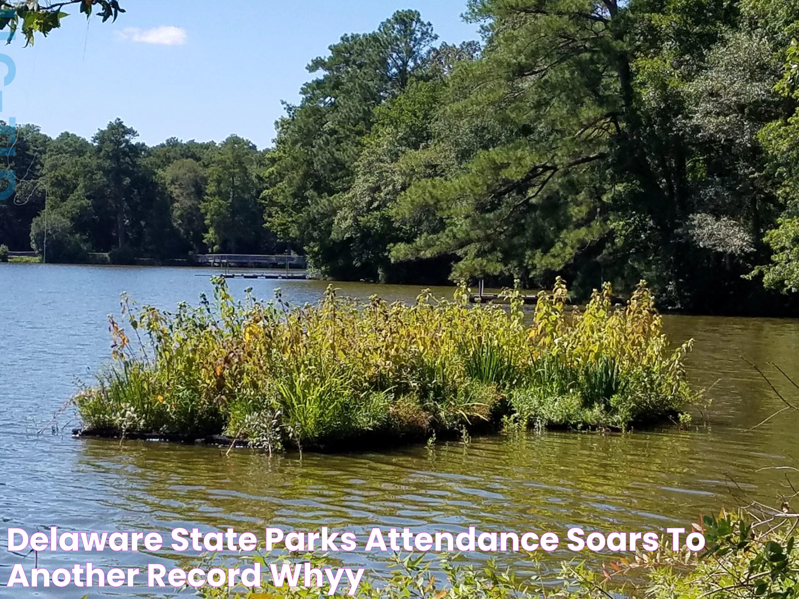 Delaware State Parks attendance soars to another record WHYY