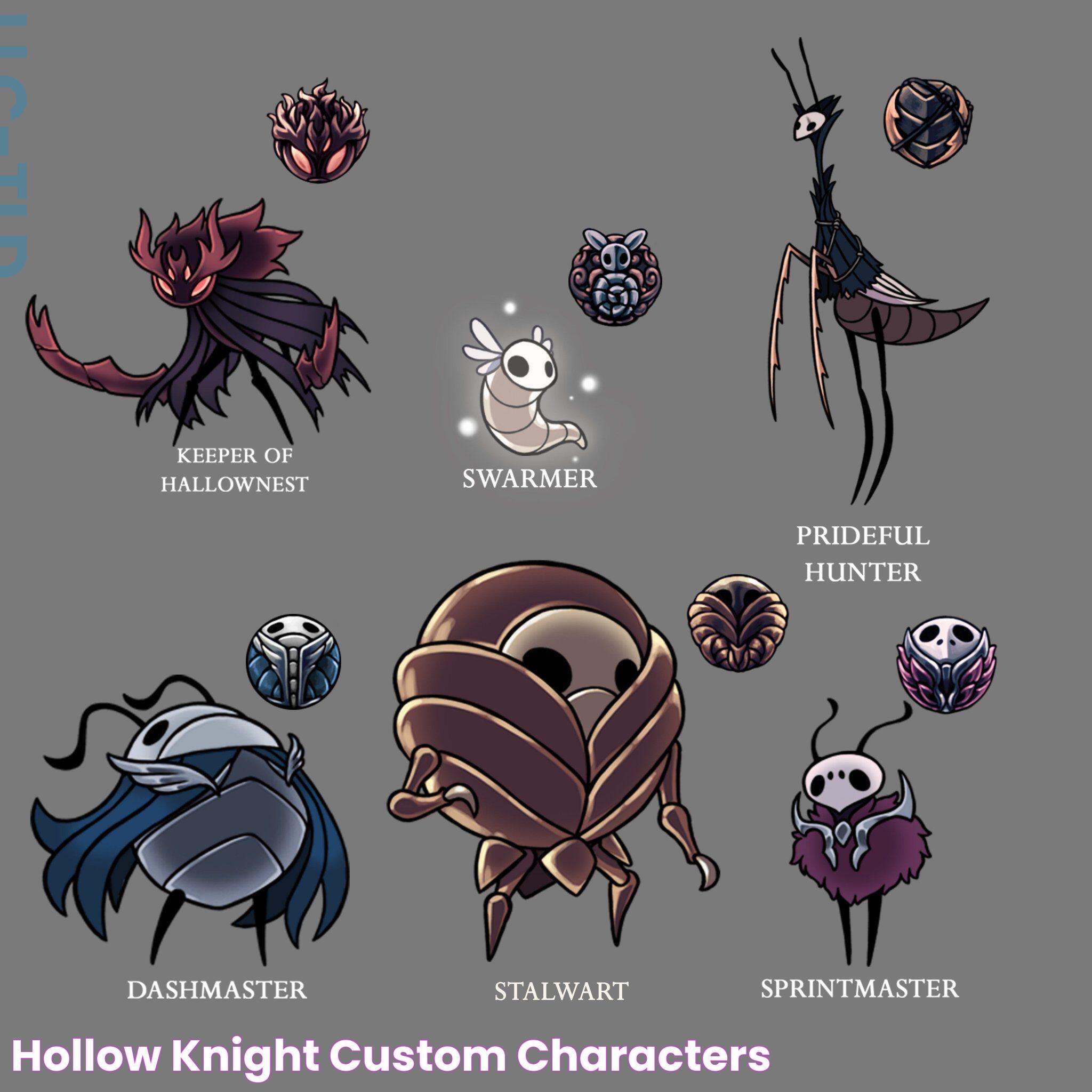 Hollow Knight Custom Characters