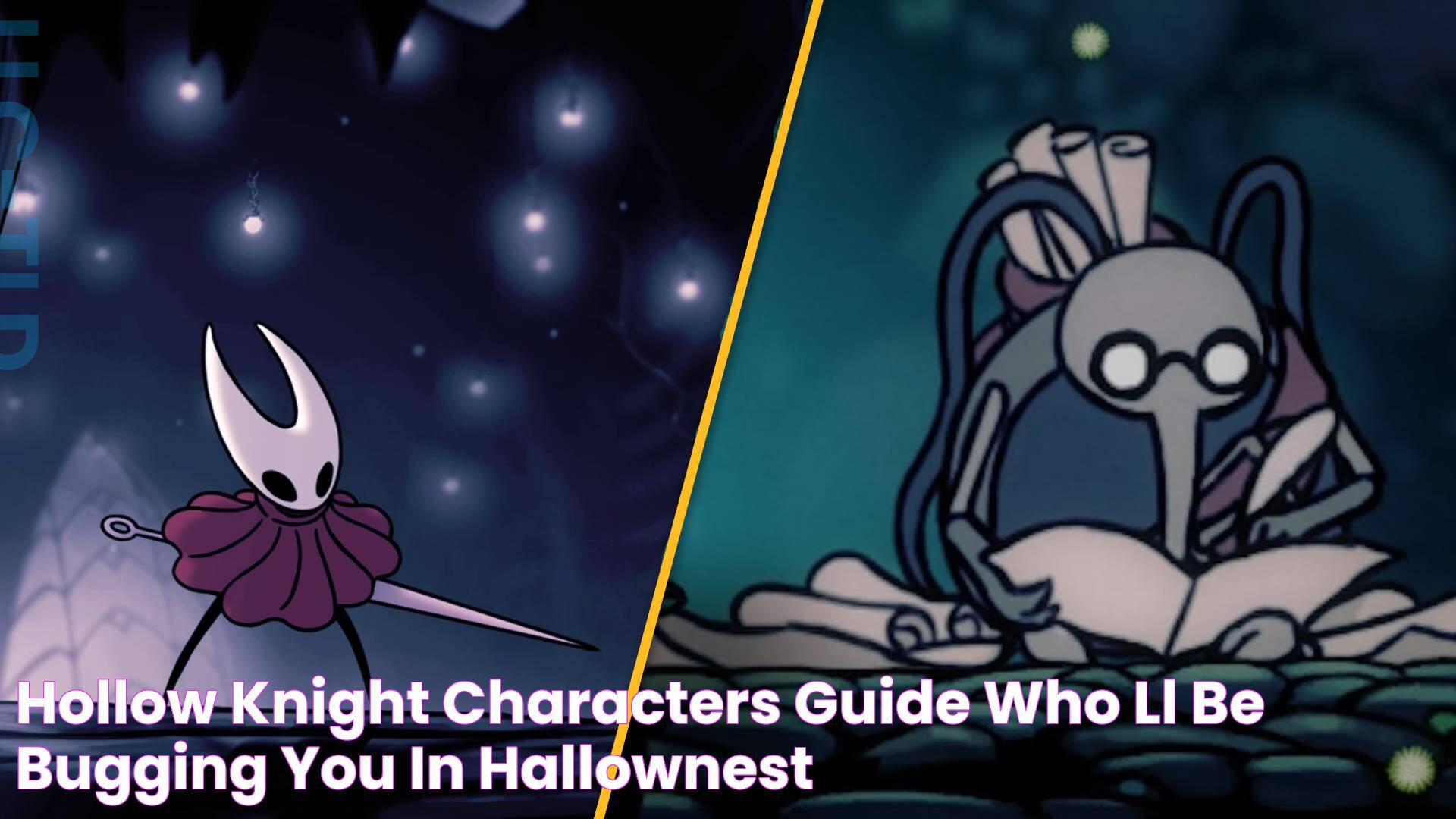 Meet The Heroes: A Guide To Hollow Knight Characters