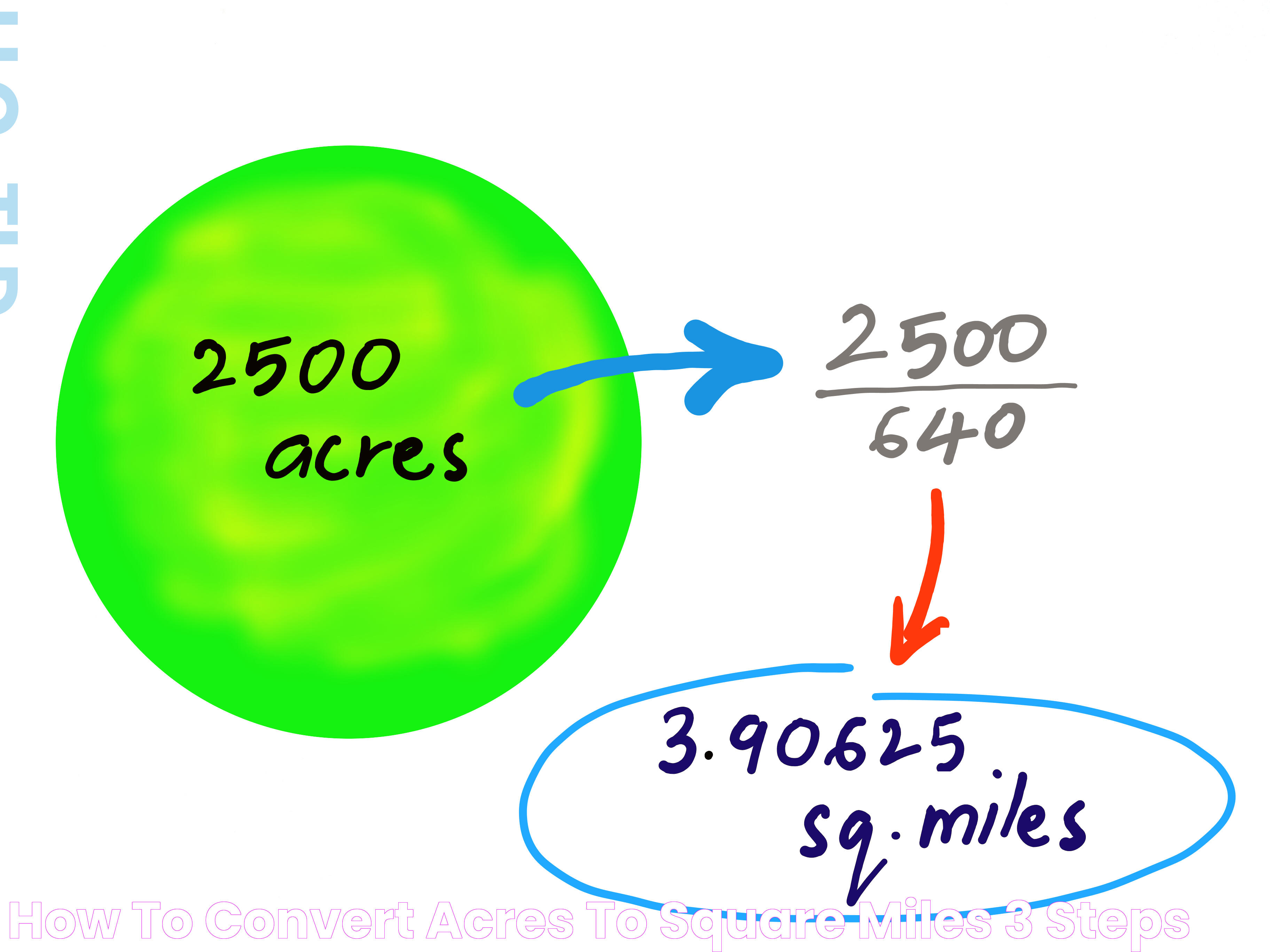 Vastness Of Texas: Square Miles And Geographic Wonders