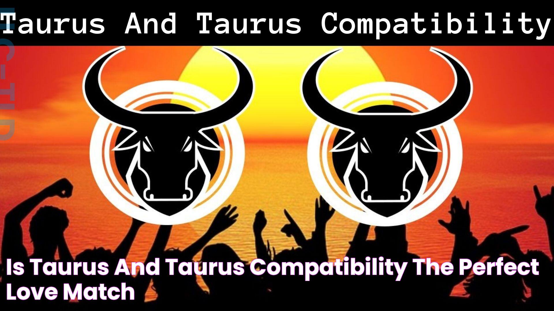 Taurus Compatibility: Discover The Zodiac Connections