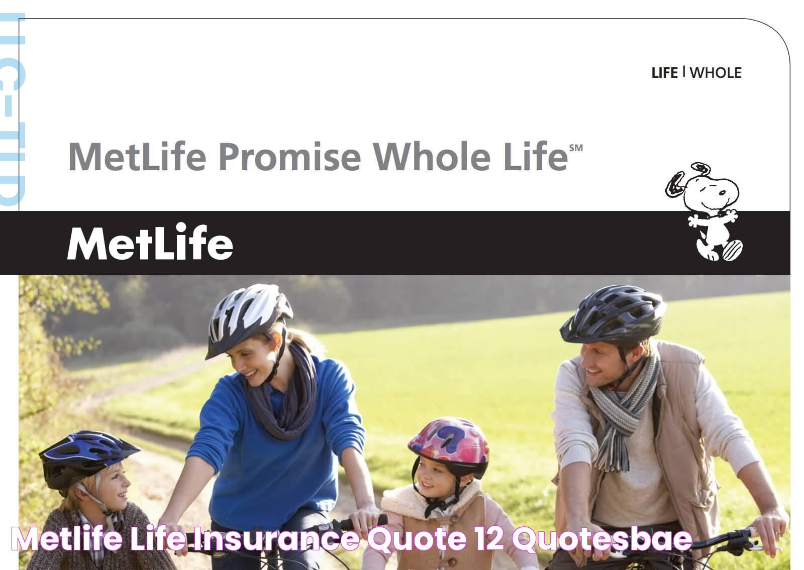 The Benefits And Options Of Metlife Life Insurance: Secure Your Future Today