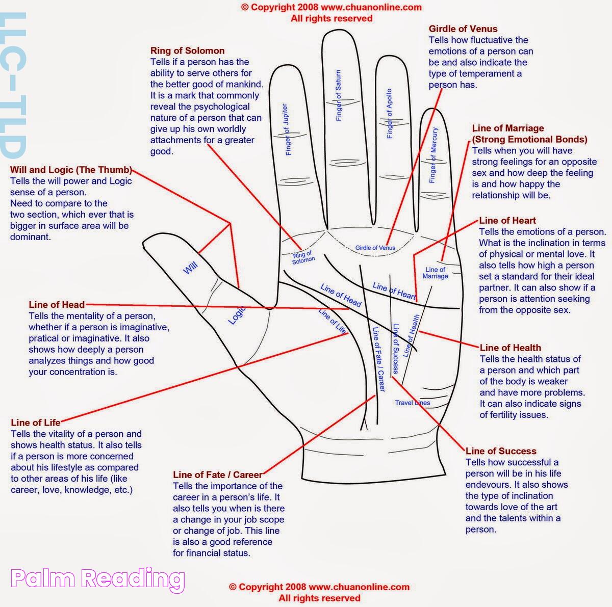 Mastering The Art Of Palm Reading: A Pathway To Self-Discovery