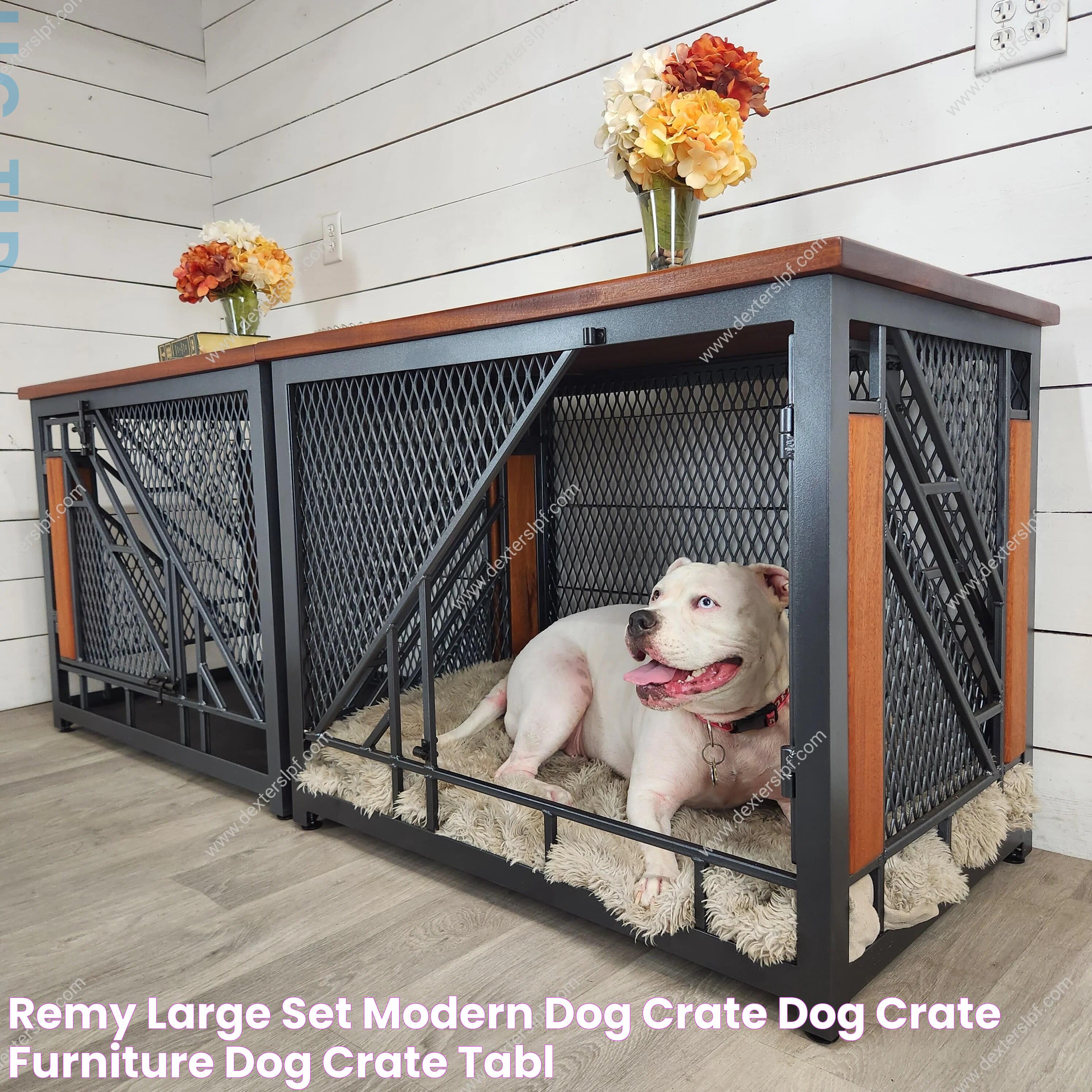 Transform Your Space With Stylish And Functional Dog Crate Furniture