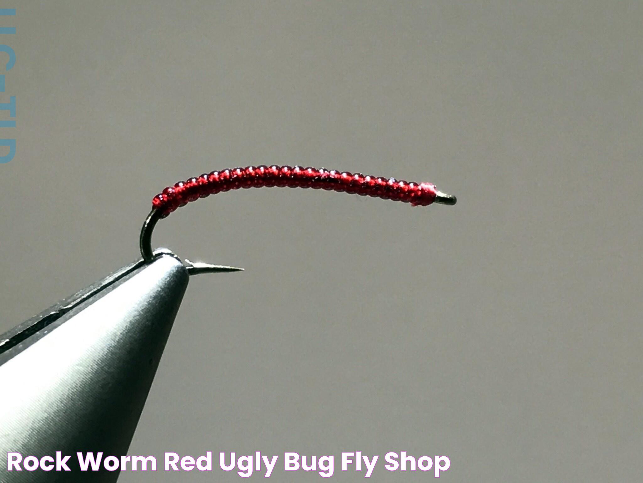 Rock Worm Red Ugly Bug Fly Shop