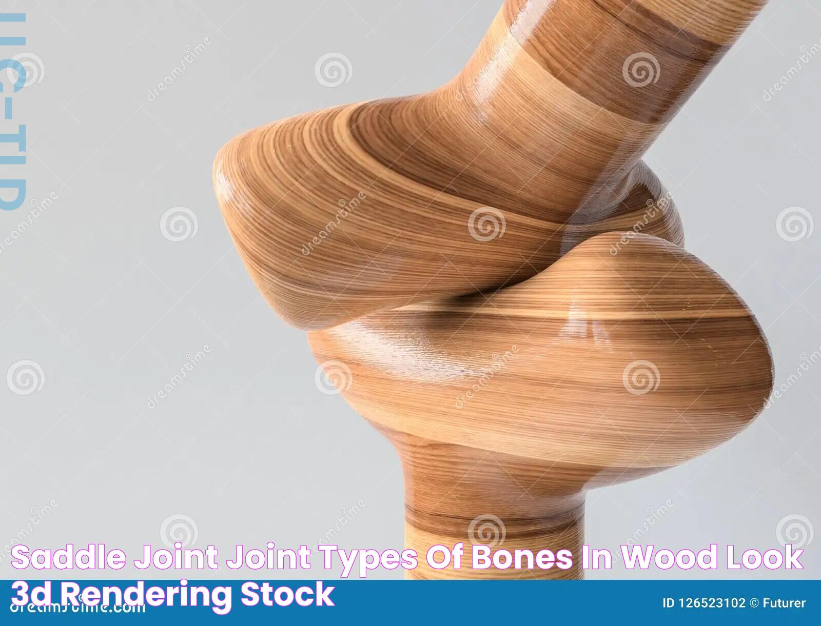 Saddle Joint Joint Types of Bones in Wood Look 3D Rendering Stock