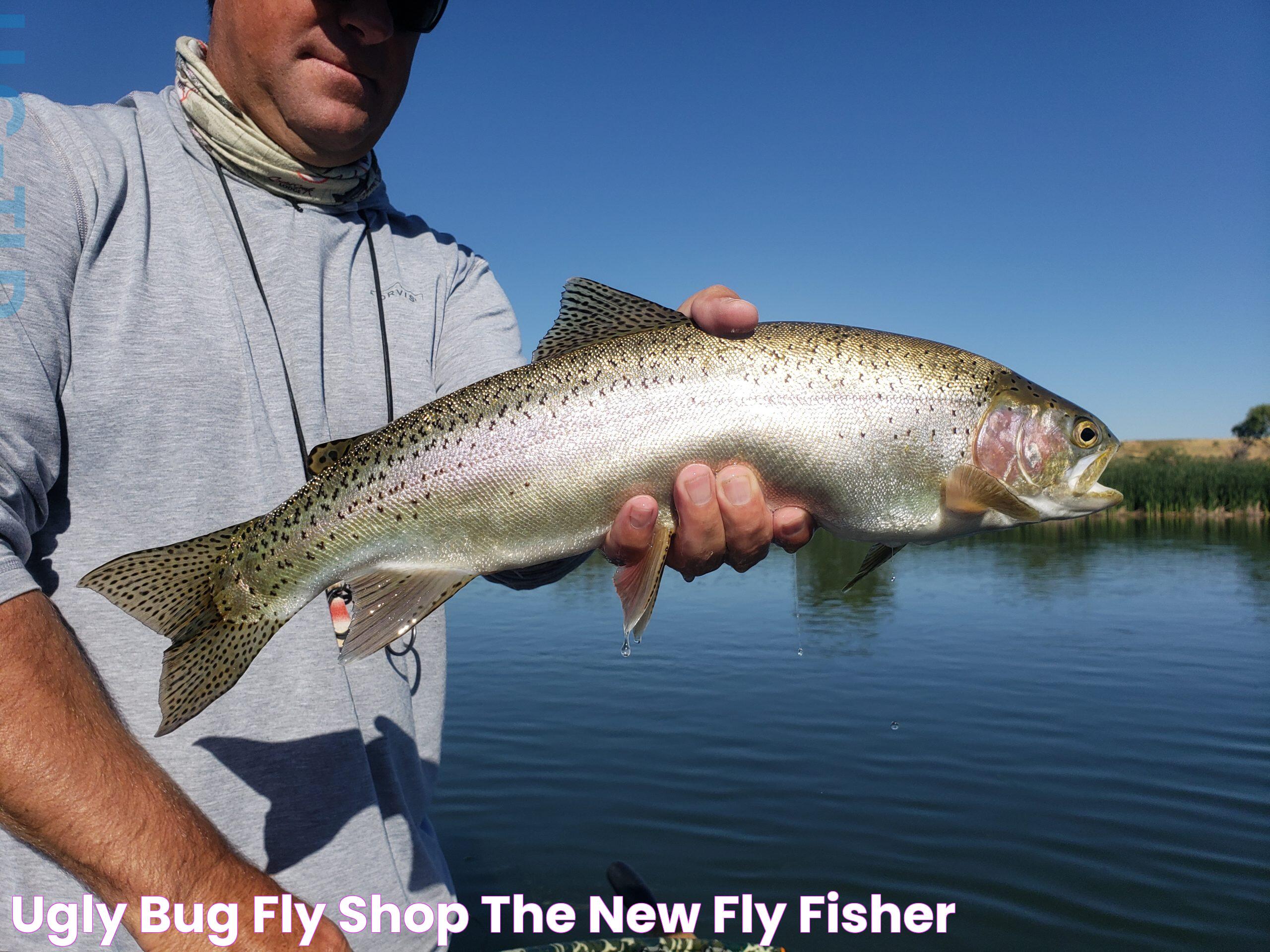 Ugly Bug Fly Shop: The Ultimate Fly Fishing Experience Awaits