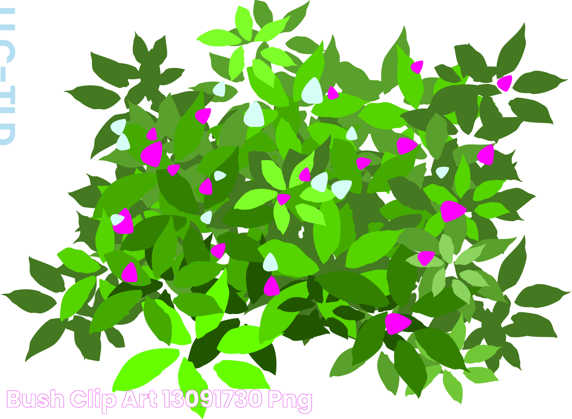 bush clip art 13091730 PNG